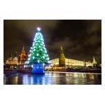 Общероссийская новогодняя ёлка в Государственном Кремлёвском Дворце